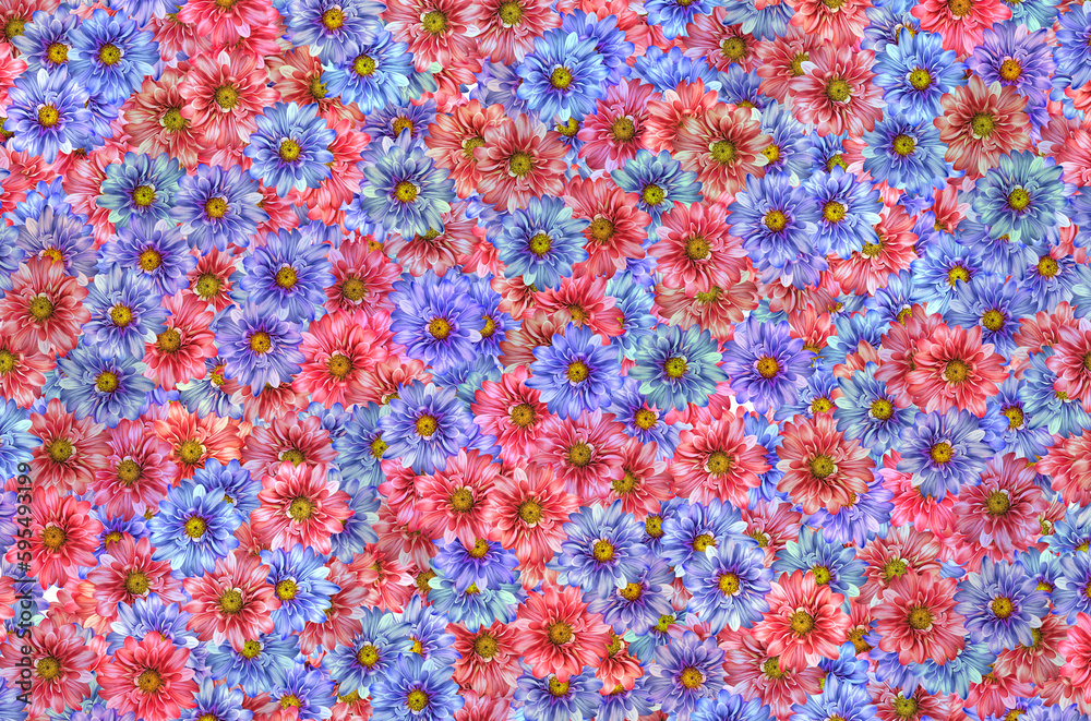 A pattern of pink and blue flowers