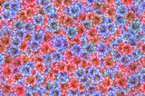 A pattern of pink and blue flowers