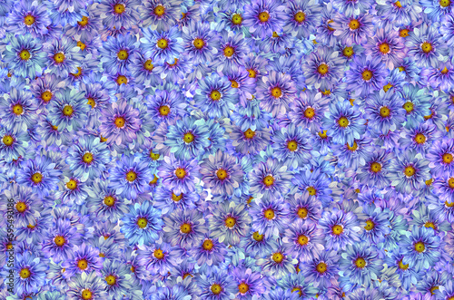 A pattern of blue and purple flowers