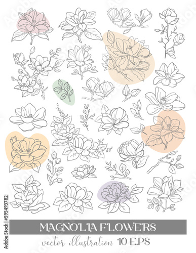 Vector graphic linear illustration of a sprig of magnolia flowers and roses