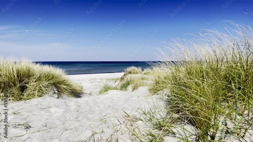Dünen am Ostseestrand im Sommer