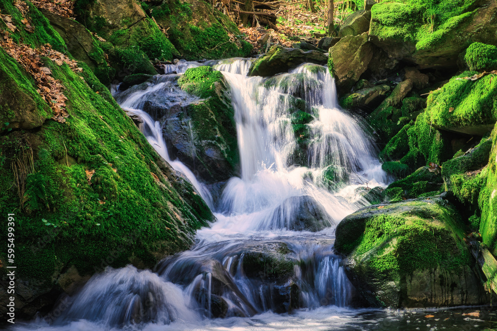 Obraz premium Wasserfall - Moos - Wald - Grün - Natural waterfall with rocks and green moss