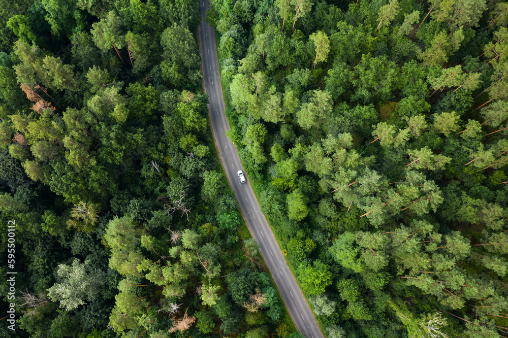 Forest road in summer, car driving on the road, aerial view
