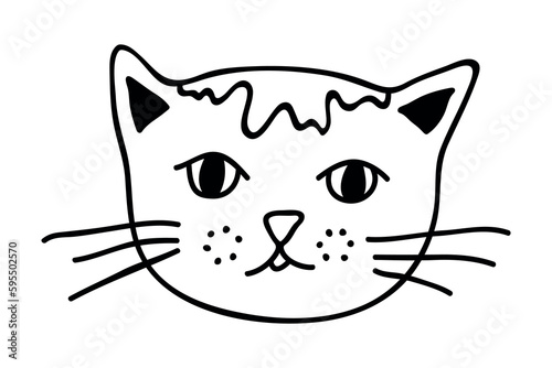 Hand drawn cat muzzle clipart. Cute pet face doodle