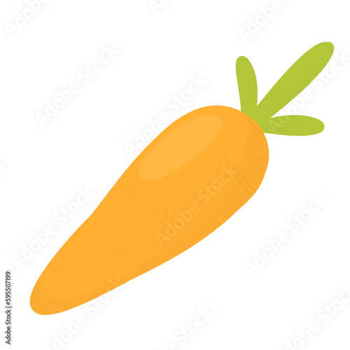 Carrot, Growing carrot, Gardening illustration 