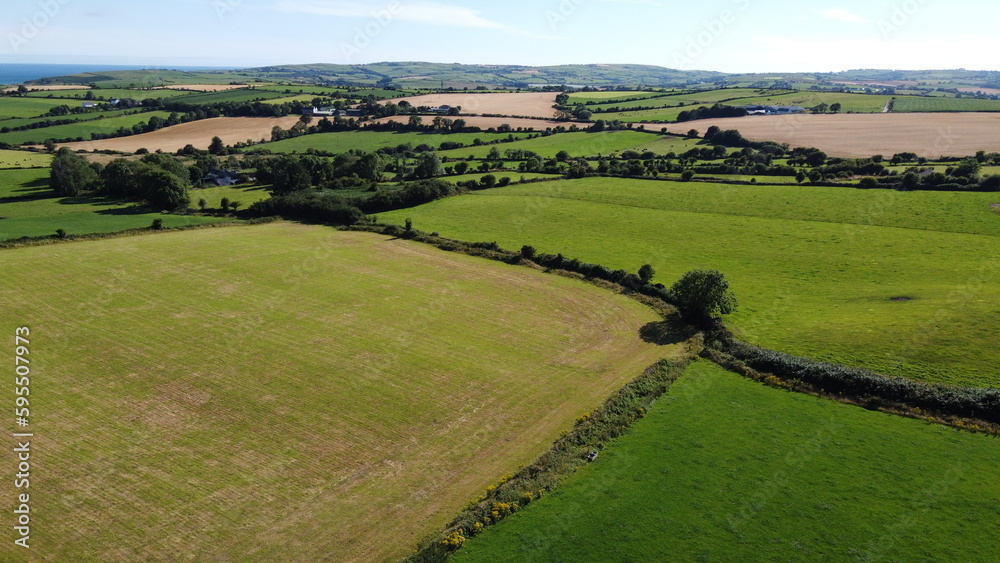 Green farm fields separated by shrubs, top view. Cattle pastures in the south of Ireland, landscape.