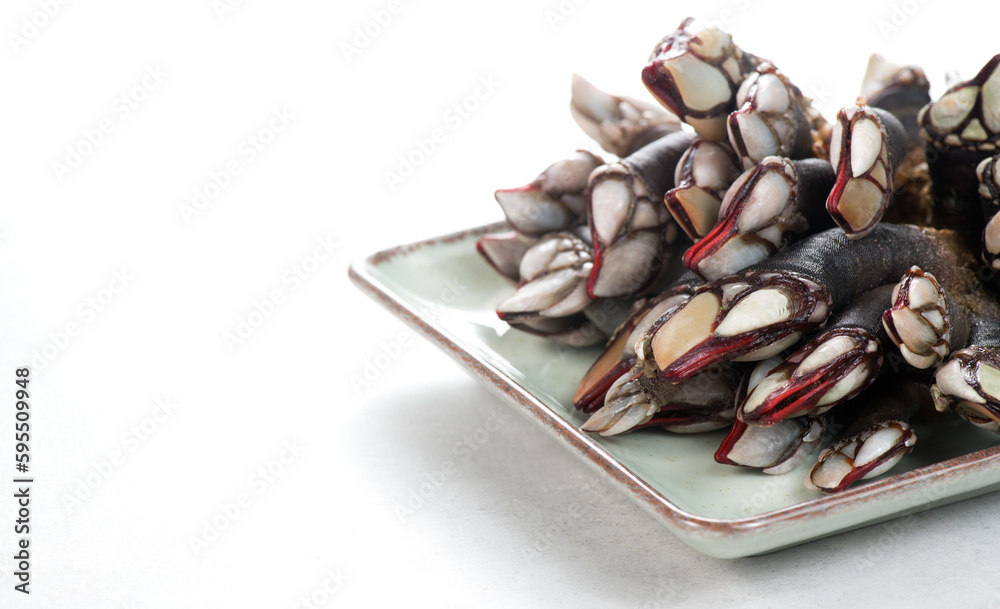 Barnacles, goose neck barnacle, percebes, gallician barnacles in a plate, isolated on white background, close-up. Border design. Pollicipes pollicipes. Expensive delicatessen, gourmet sea food. Barnacles, goose neck barnacle, percebes, gallician barnacles in a plate, isolated on white background, close-up. Border design. Pollicipes pollicipes. Expensive delicatessen, gourmet sea food.