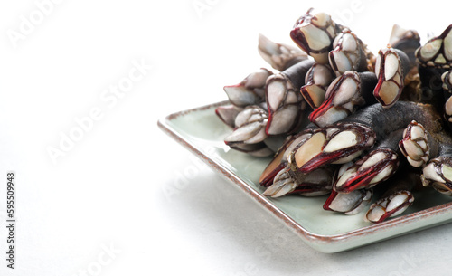 Barnacles, goose neck barnacle, percebes, gallician barnacles in a plate, isolated on white background, close-up. Border design. Pollicipes pollicipes. Expensive delicatessen, gourmet sea food.