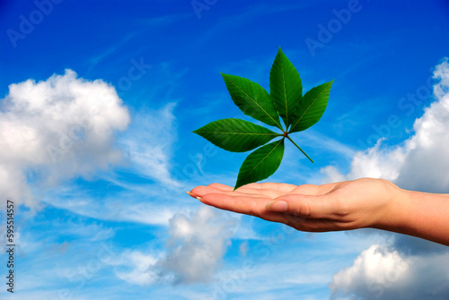 hand with a green leaf floating over it, earth day concept