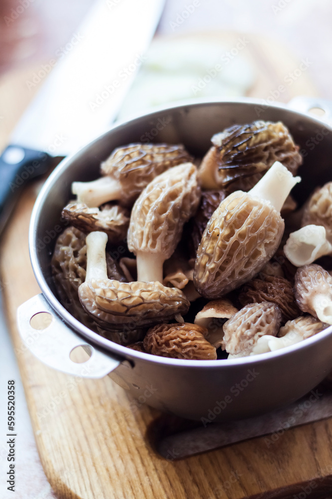 Obraz premium Spring Morel mushrooms in a metal bowl.