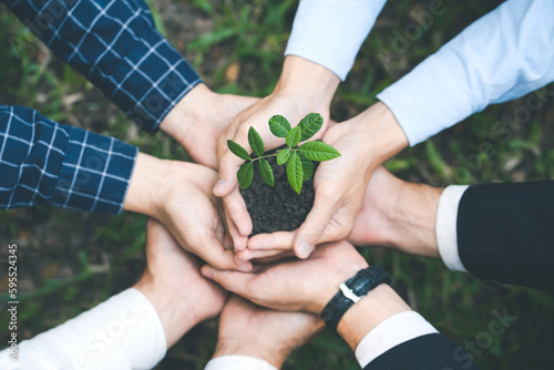 Environmental cooperation. Unity of businesspeople and community together protecting small sprout with hands. Future environmental conservation and sustainable ESG modernization development.