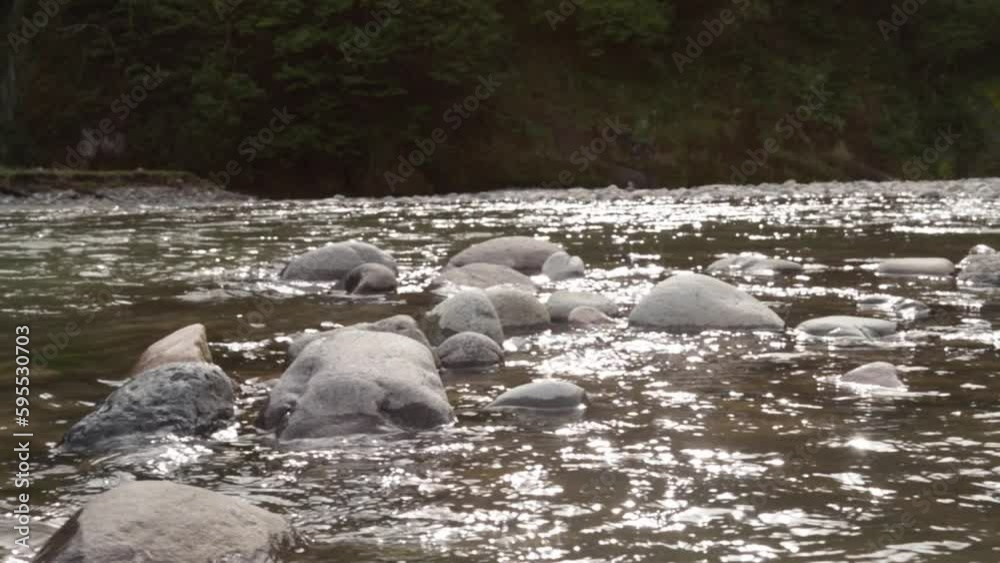 Wild mountain river flows,peaceful atmosphere Wild mountain river flows,peaceful atmosphere