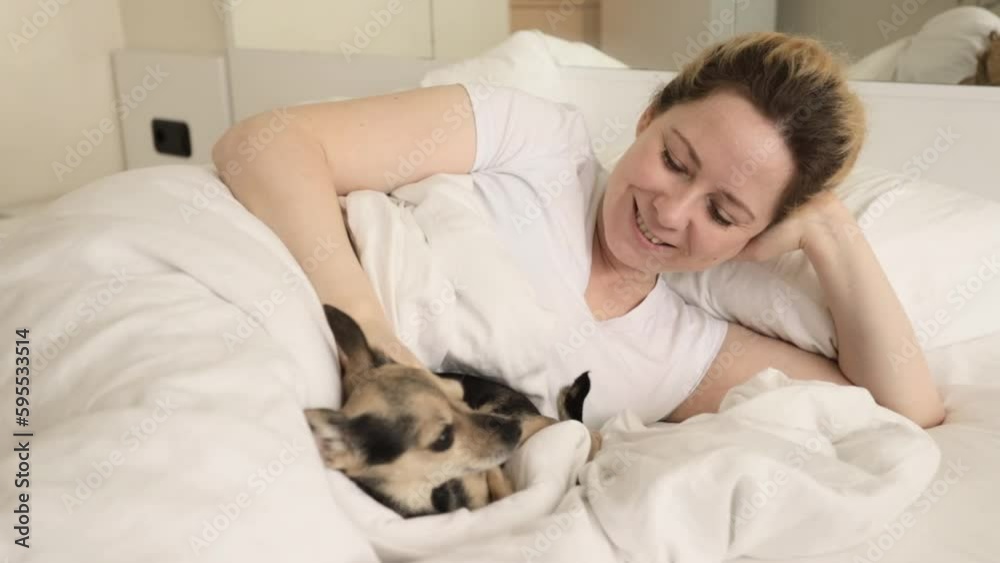 the dog plays with the owner in the bed, a small pet in the bedroom, a cute puppy the dog plays with the owner in the bed, a small pet in the bedroom, a cute puppy
