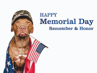Memorial Day. Charming, lovable brown puppy and American Flag. Close-up, indoors. Studio shot. National holiday concept. Congratulations for family, relatives, friends and colleagues