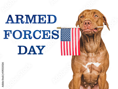 Armed Forces Day. Charming, lovable brown puppy and American flag. Close-up, indoors. Studio shot. National holiday concept. Congratulations for family, relatives, friends and colleagues. Pet care
