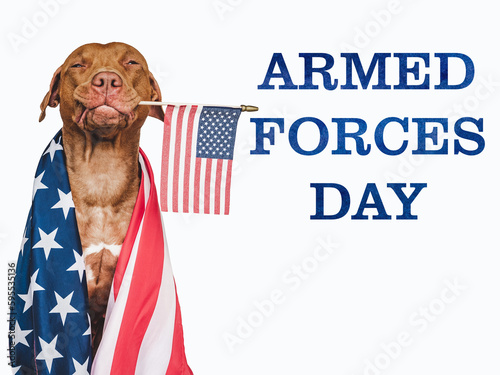 Armed Forces Day. Charming, lovable brown puppy and American flag. Close-up, indoors. Studio shot. National holiday concept. Congratulations for family, relatives, friends and colleagues. Pet care