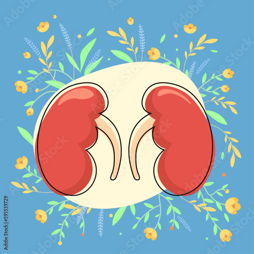 A drawing of a pair of kidneys with flowers and leaves on blue background
