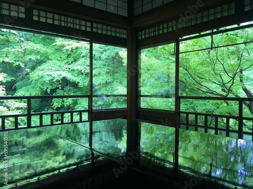 京都　瑠璃光院の庭園と床に映る新緑