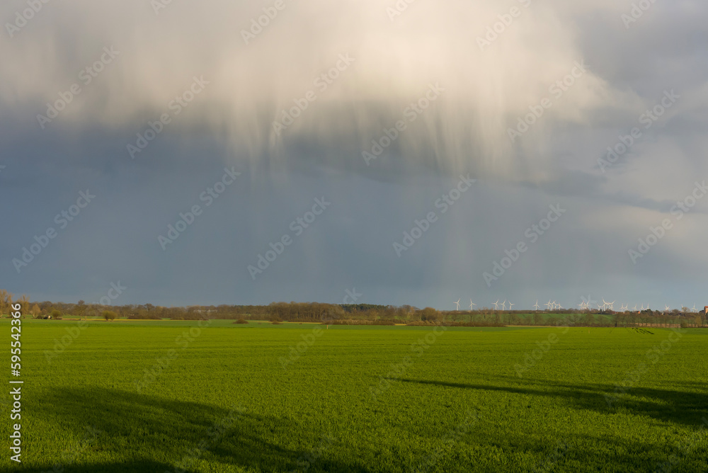 Field with dense spot rain shower