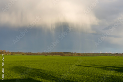 Field with dense spotted rain shower