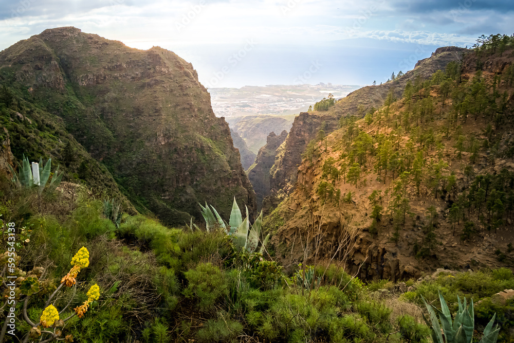 Fototapeta premium Panoramic high angle view from above of the Barranco del Infierno ravine to the Adeje coast of the Atlantic Ocean on Tenerife, showcasing a lush geologic scenery and stunning volcanic rock formations.