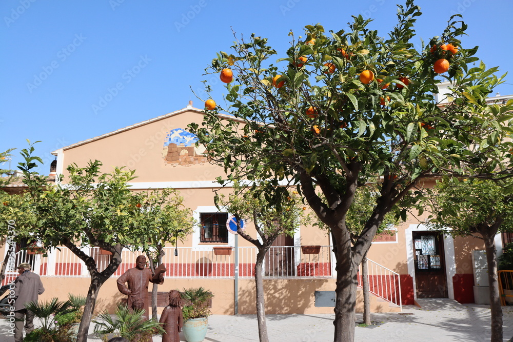 Orange tree in front of village building