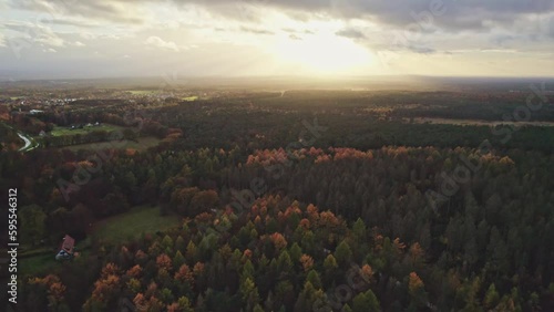 Drohnenaufnahmen vom Sonnenuntergang im Wald photo