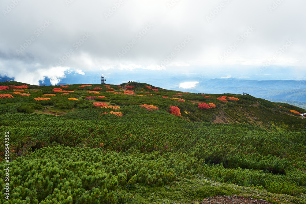 Fototapeta premium 北海道 旭岳の紅葉 