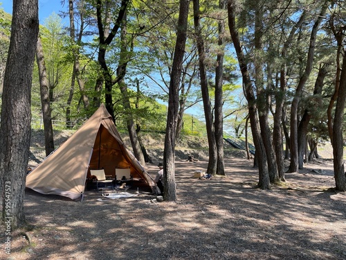 森で初夏にキャンプをする風景