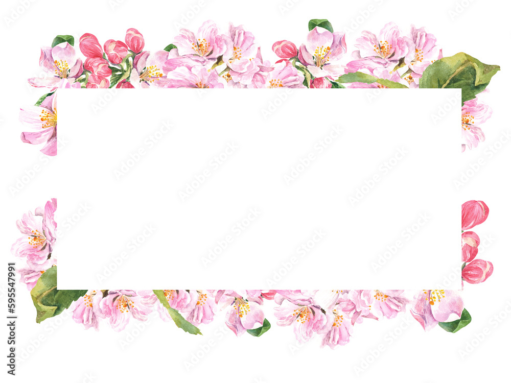 Rectangular frame of a blossoming apple tree on a white background. watercolor illustration