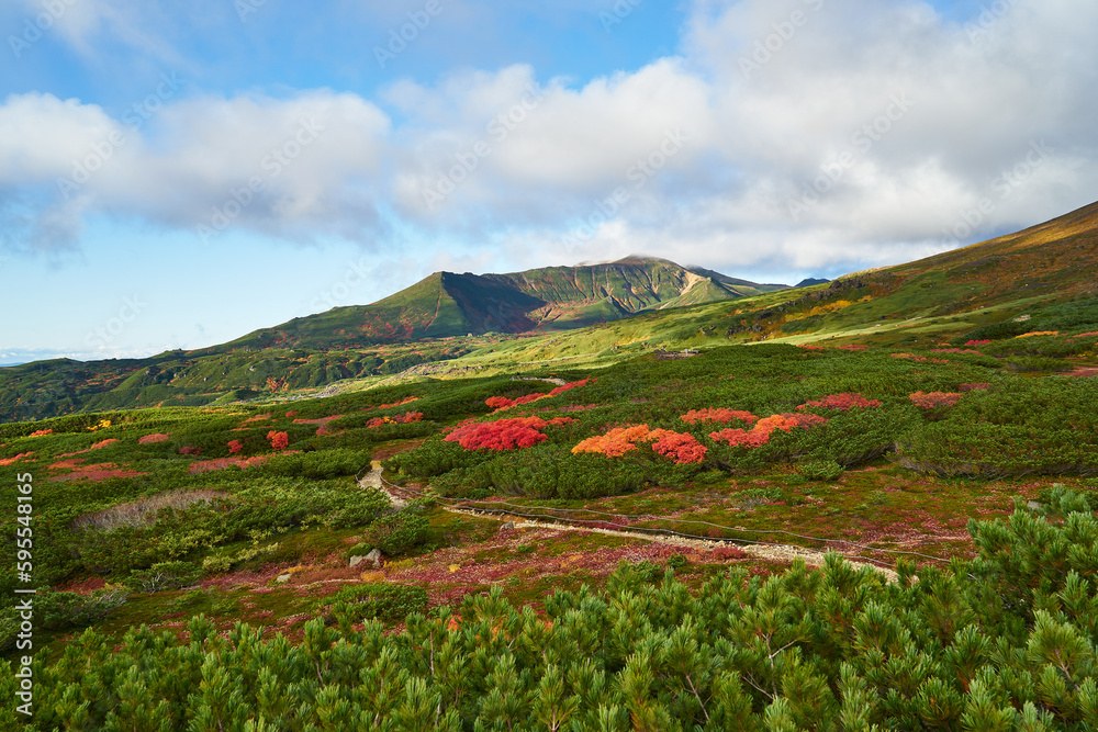 北海道　旭岳の紅葉と裾合平
