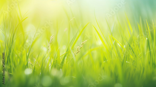 Spring and summer background and sun flare