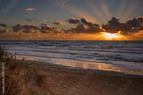 Catching the sun