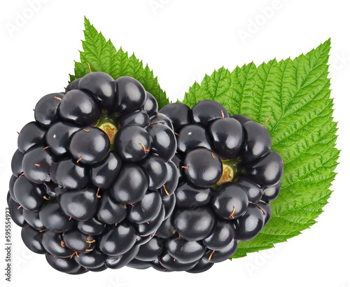 Ripe blackberry with leaves isolated