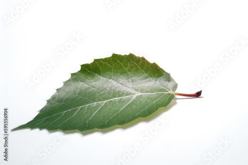 A fresh, vibrant green leaf isolated on a clean white background, a perfect representation of nature's beauty and simplicity. AI Generative.