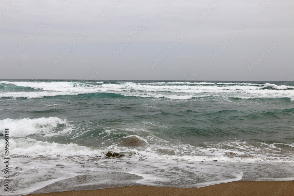 日本海 日本海