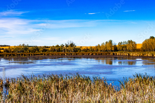 Blue skies, ponds and farmers fields on a drive thru Lacombe County, Alberta, Canada