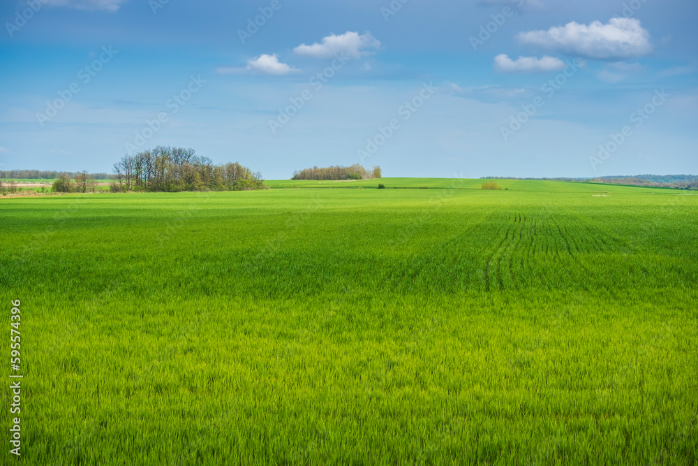 Landscape with field and sky