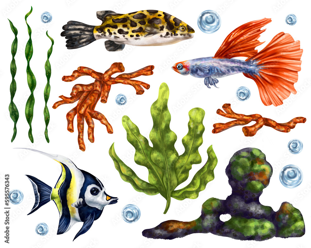 A marine set of colorful tropical fish, corals, algae, rocks and bubbles. Underwater wild world, digital illustration on a white background. For packaging, posters, postcards, souvenirs