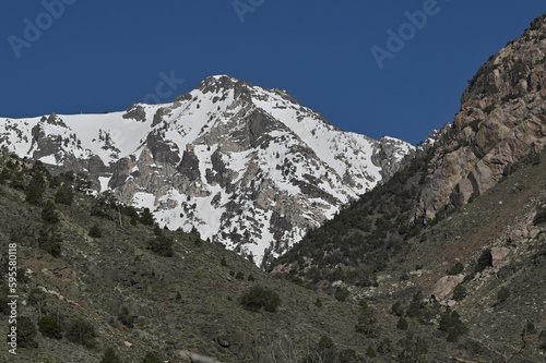 Eastern Sierra Nevada's as seen from foothills.