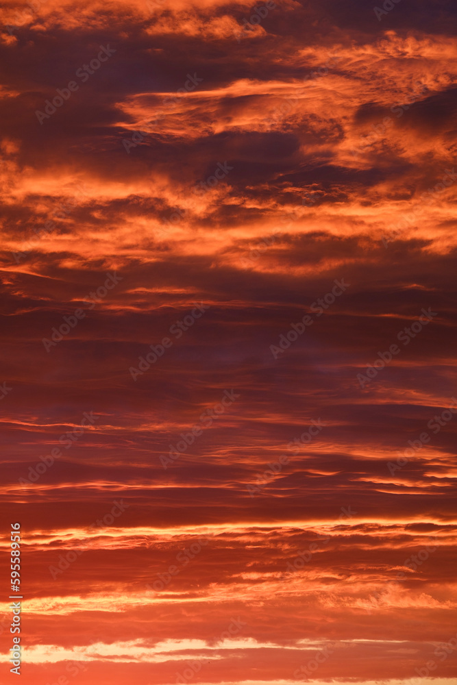 fiery red sky at sunset, vertical