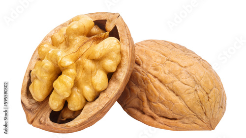 Delicious walnuts cut out photo