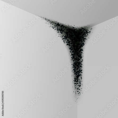 Black mold wall ceiling corner fungus microbe allergen indoor danger rotten realistic vector