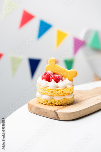 Photography dog birthday cup cake, dog treats