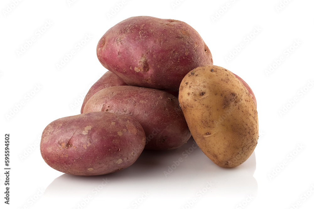 potatoes of different varieties potatoes of different varieties