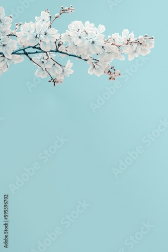 Floral pattern on turquoise background, card, invitation, writing room, wedding card, wedding invitation, RSVP