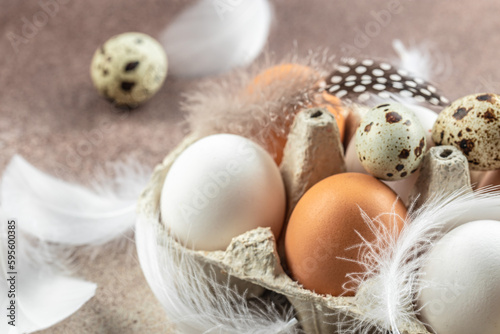 Chicken and quail eggs with feathers on light background. top view © Надія Коваль