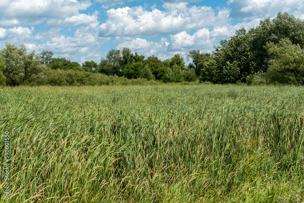 Raube Road Historical Site Of Wisconsin's Old Military Road Through Gallagher Marsh