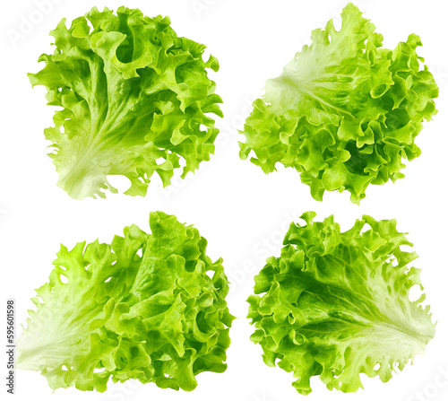 Fotografia salad, lettuce leaf, isolated on white background, full depth of field