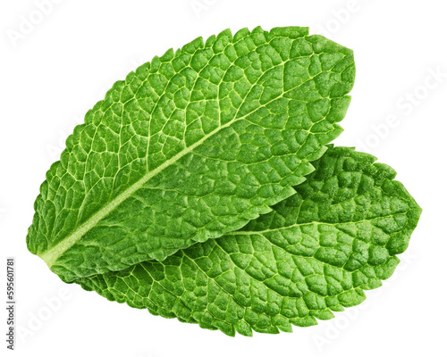 mint leaves, spearmint, isolated on white background, full depth of field